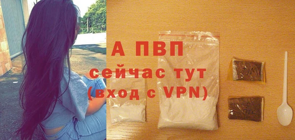 ГАЛЛЮЦИНОГЕННЫЕ ГРИБЫ Беломорск