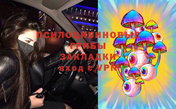 а пвп мука Богданович