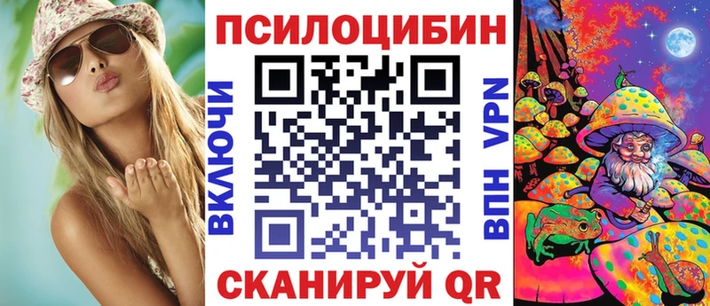 Псилоцибиновые грибы Psilocybe Борисоглебск